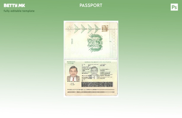 Шаблон за пасош на Боливија во модерен стил